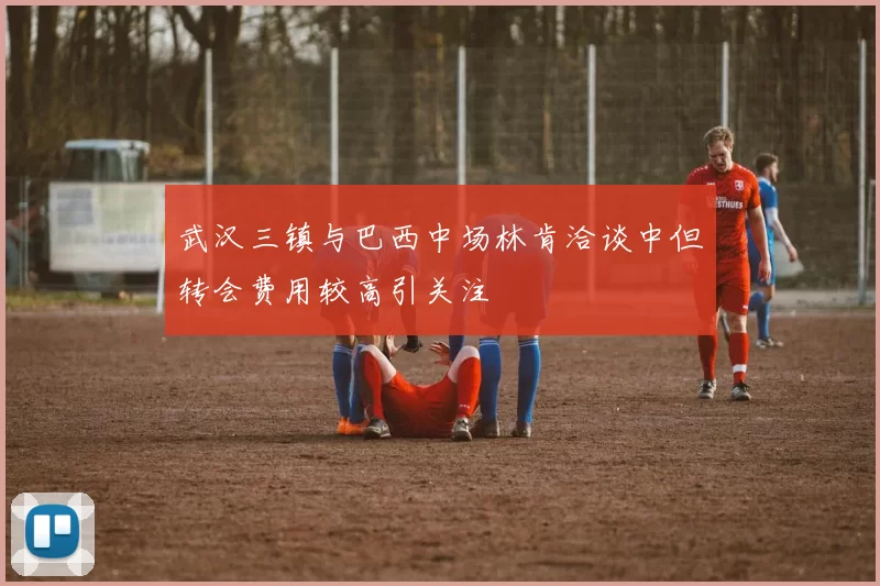 武汉三镇与巴西中场林肯洽谈中但转会费用较高引关注